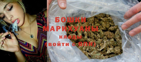 прущие грибы Киров
